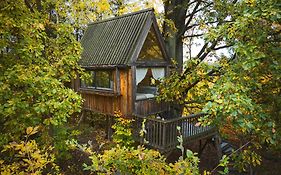 Enjoy Cozy Tree House Hills Forest Gardens Beautiful Views Sauna Hotbath